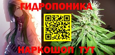 прущие грибы Новодвинск