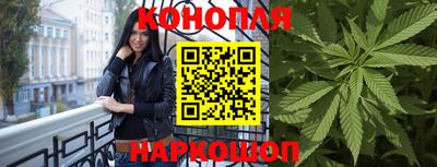 прущие грибы Новодвинск