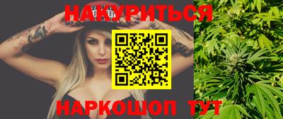 прущие грибы Новодвинск