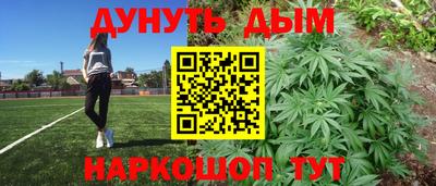 прущие грибы Новодвинск