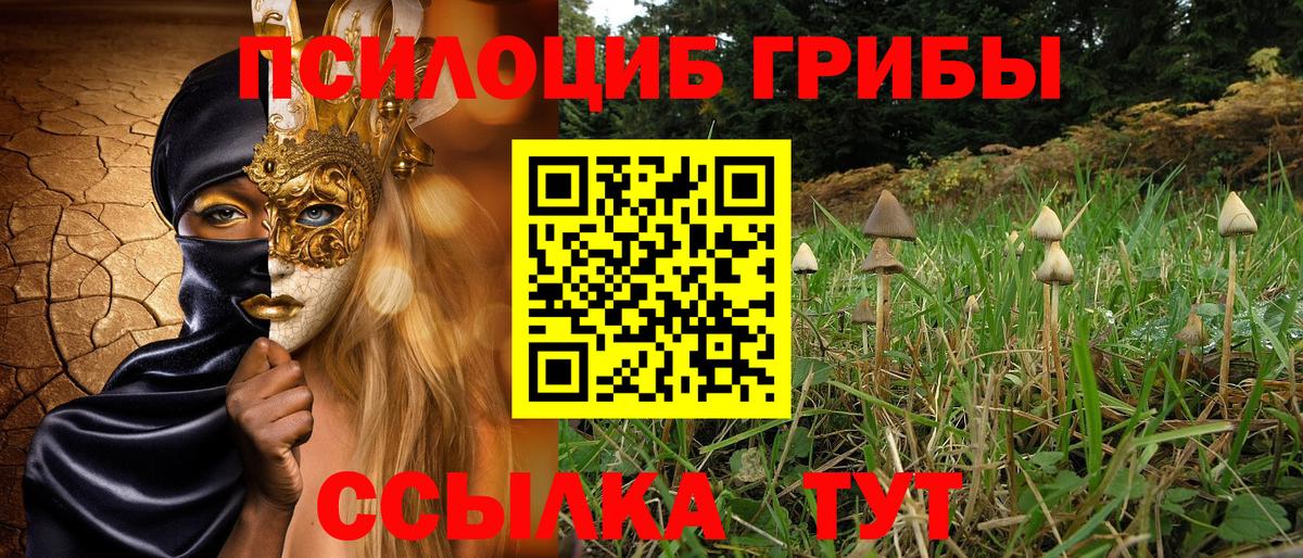 Псилоцибиновые грибы MAGIC MUSHROOMS Сертолово